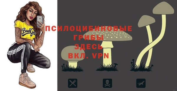 гидропоника Балабаново