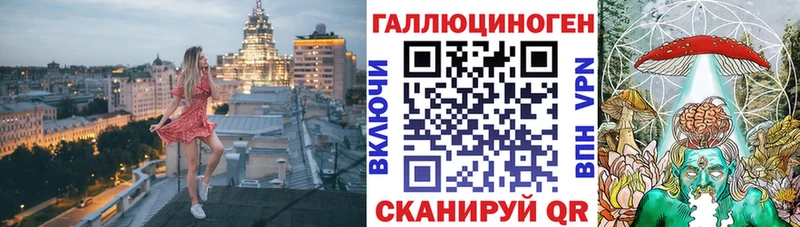 Псилоцибиновые грибы Psilocybe  где найти   Белёв 